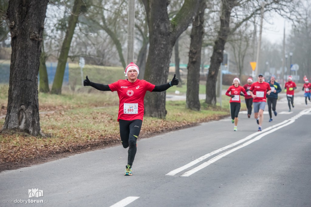 Torunianie na trasie półmaratonu