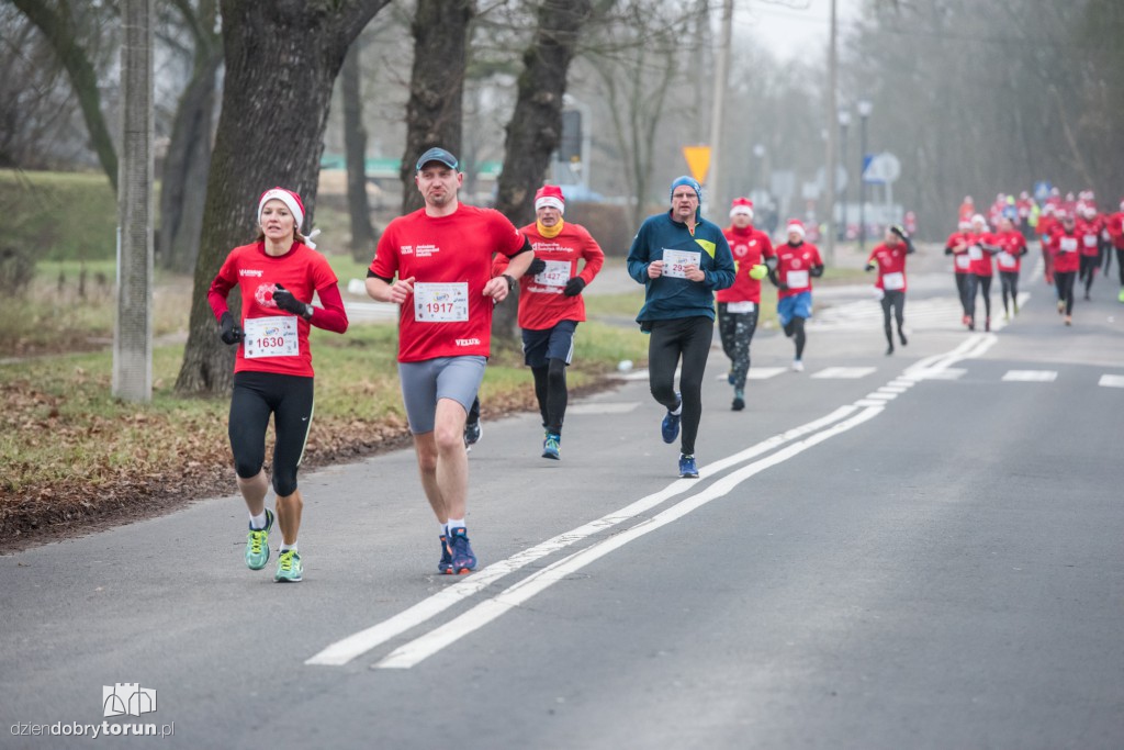 Torunianie na trasie półmaratonu