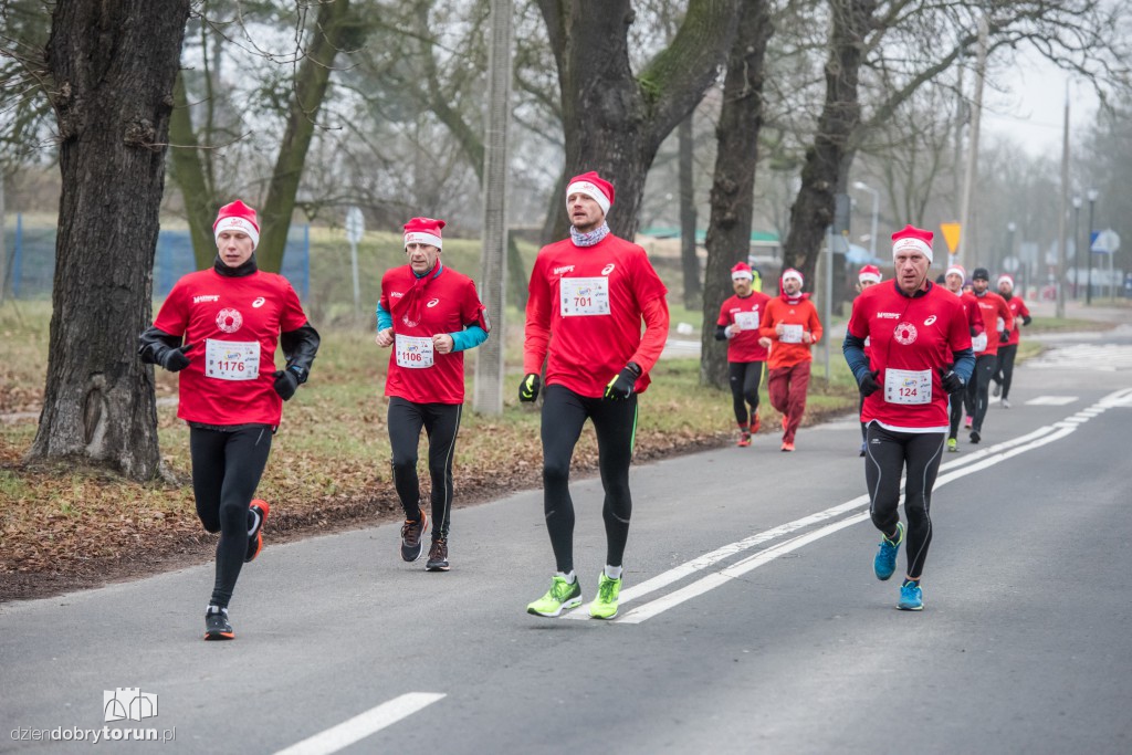 Torunianie na trasie półmaratonu
