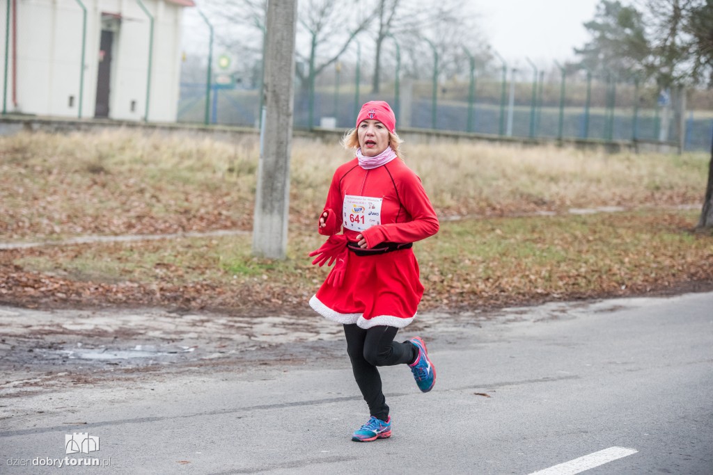 Torunianie na trasie półmaratonu