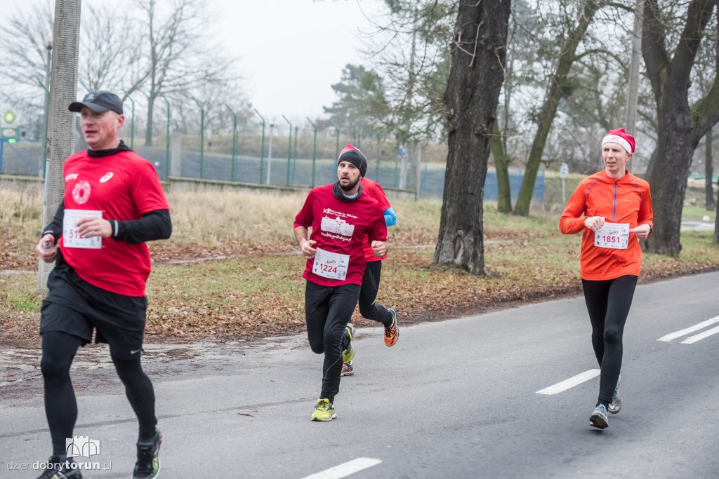 Torunianie na trasie półmaratonu