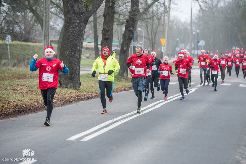Torunianie na trasie półmaratonu