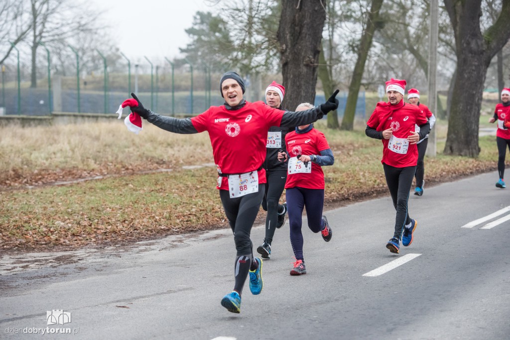 Torunianie na trasie półmaratonu