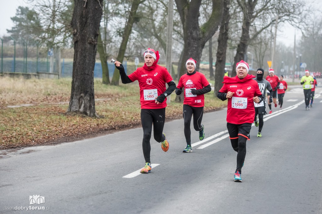 Torunianie na trasie półmaratonu