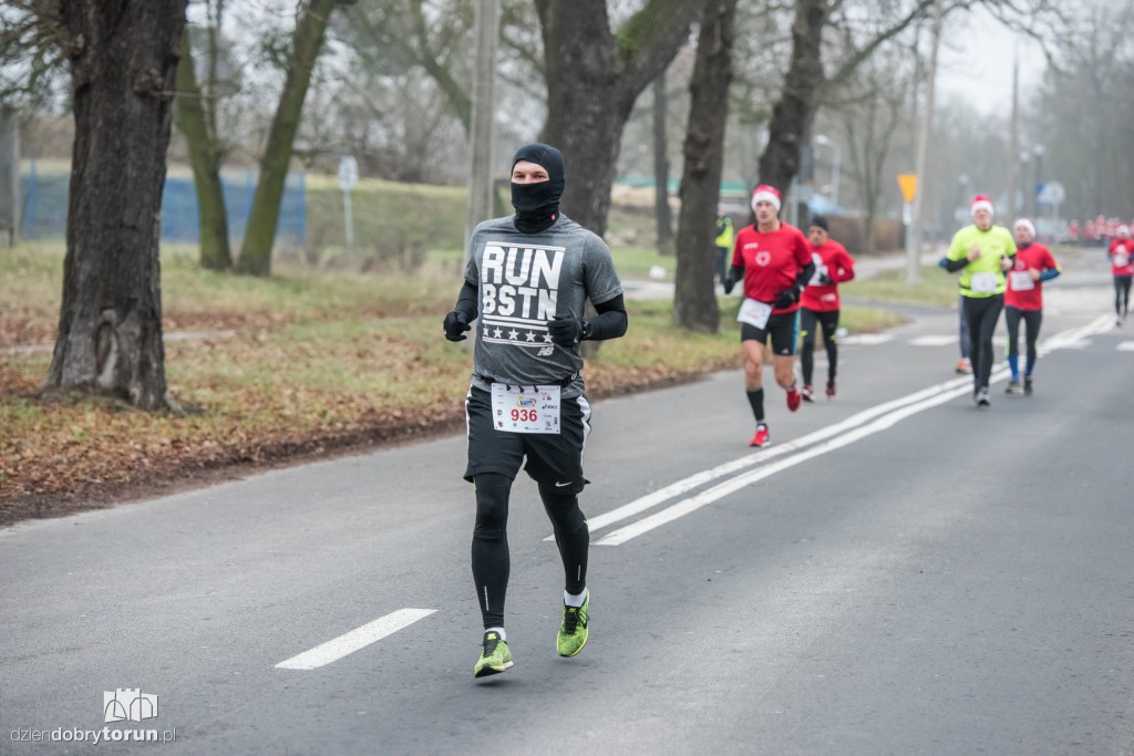 Torunianie na trasie półmaratonu