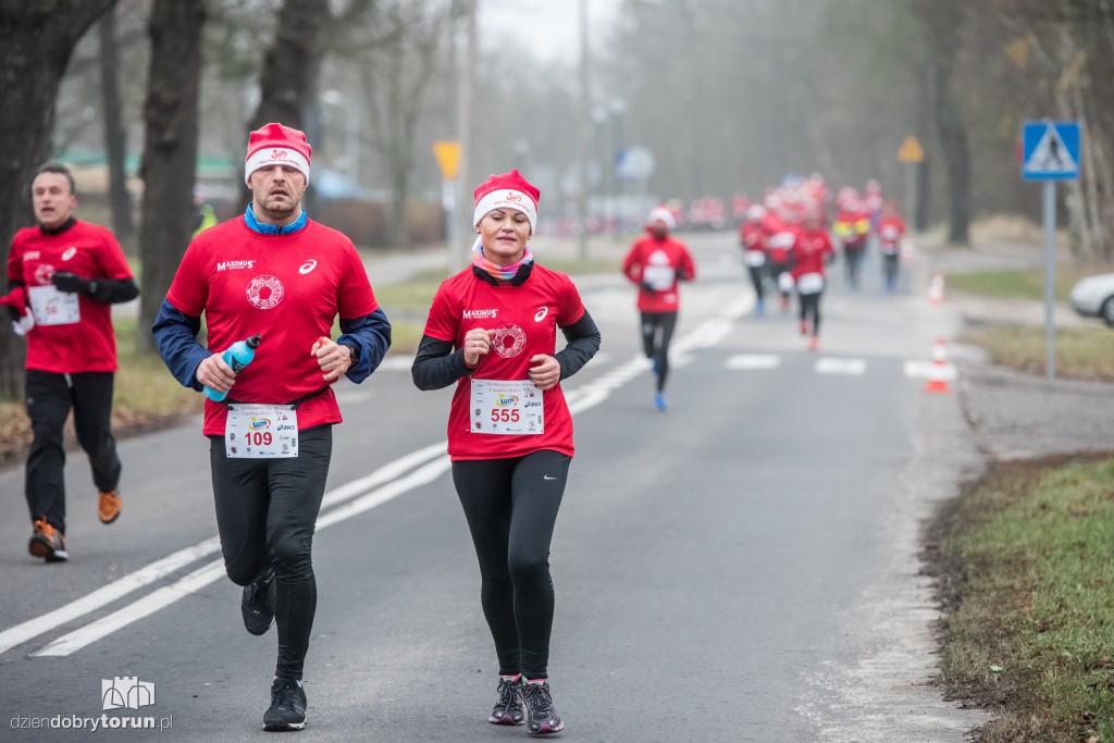 Torunianie na trasie półmaratonu