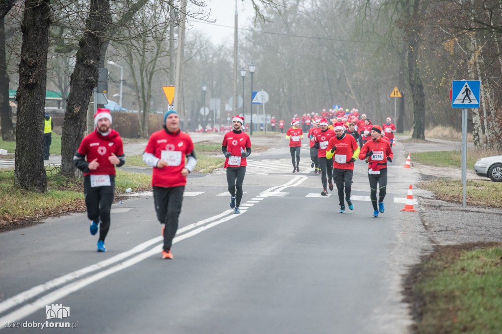 Torunianie na trasie półmaratonu