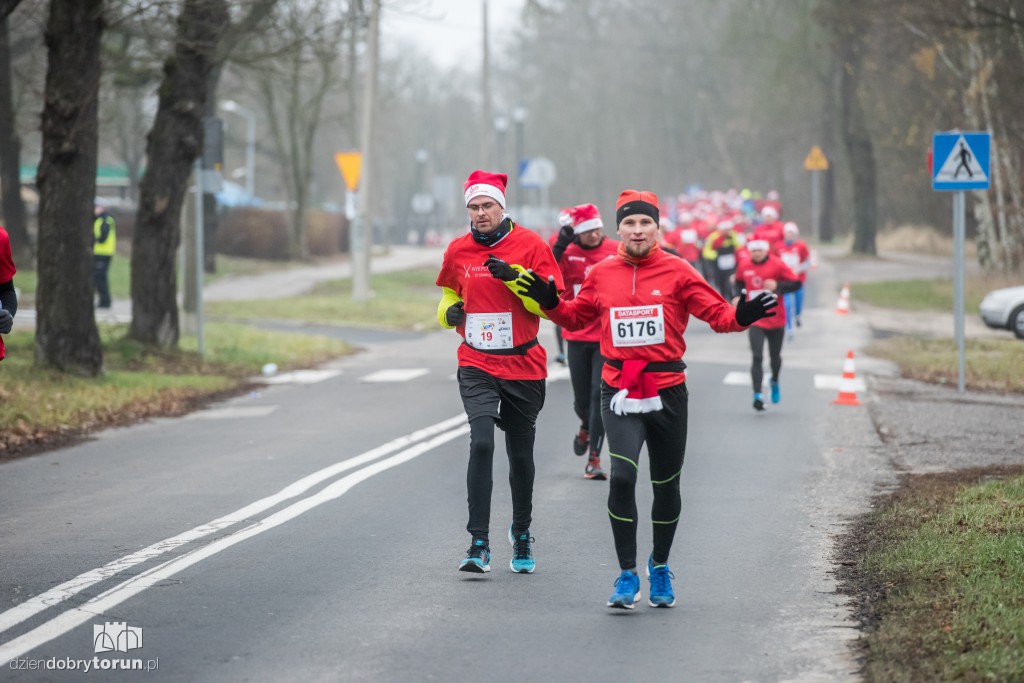 Torunianie na trasie półmaratonu