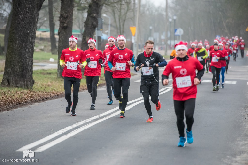 Torunianie na trasie półmaratonu
