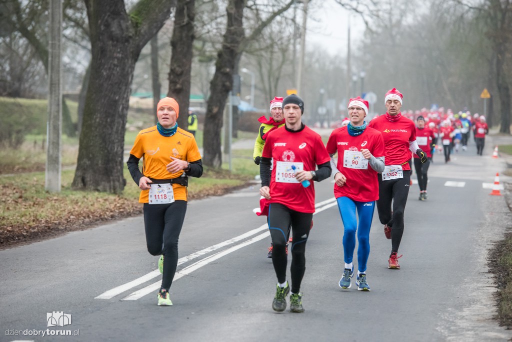 Torunianie na trasie półmaratonu