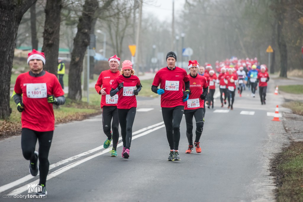Torunianie na trasie półmaratonu