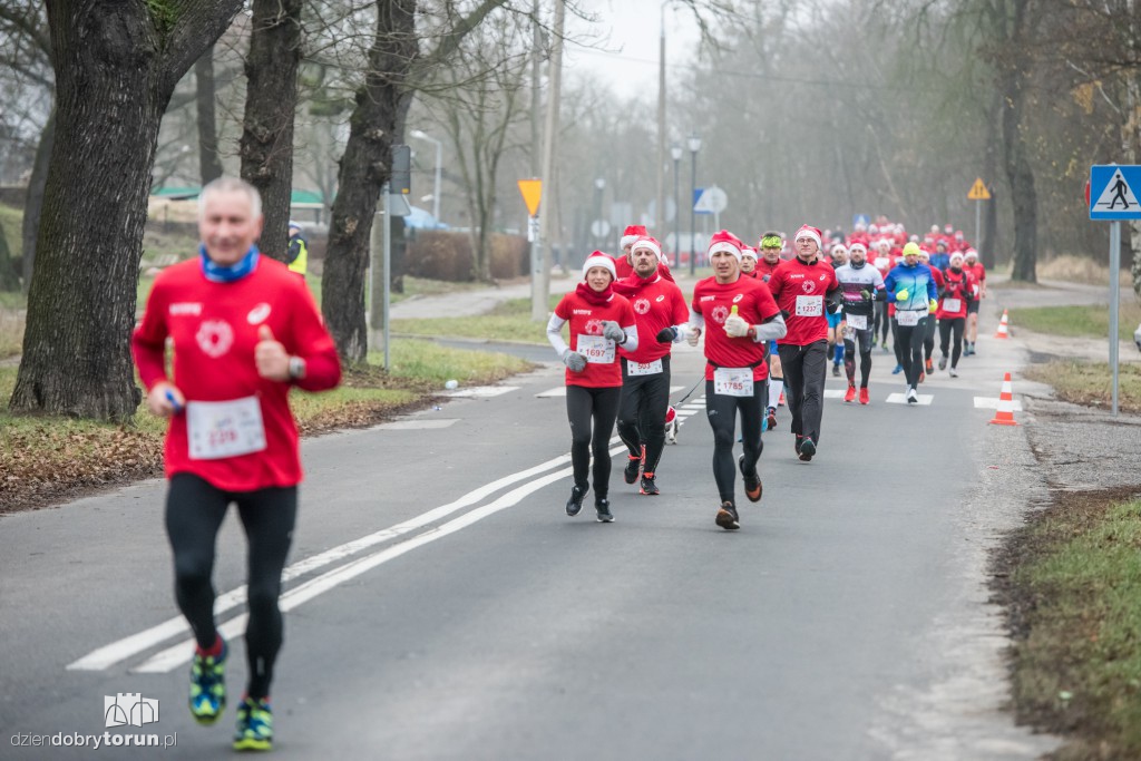 Torunianie na trasie półmaratonu
