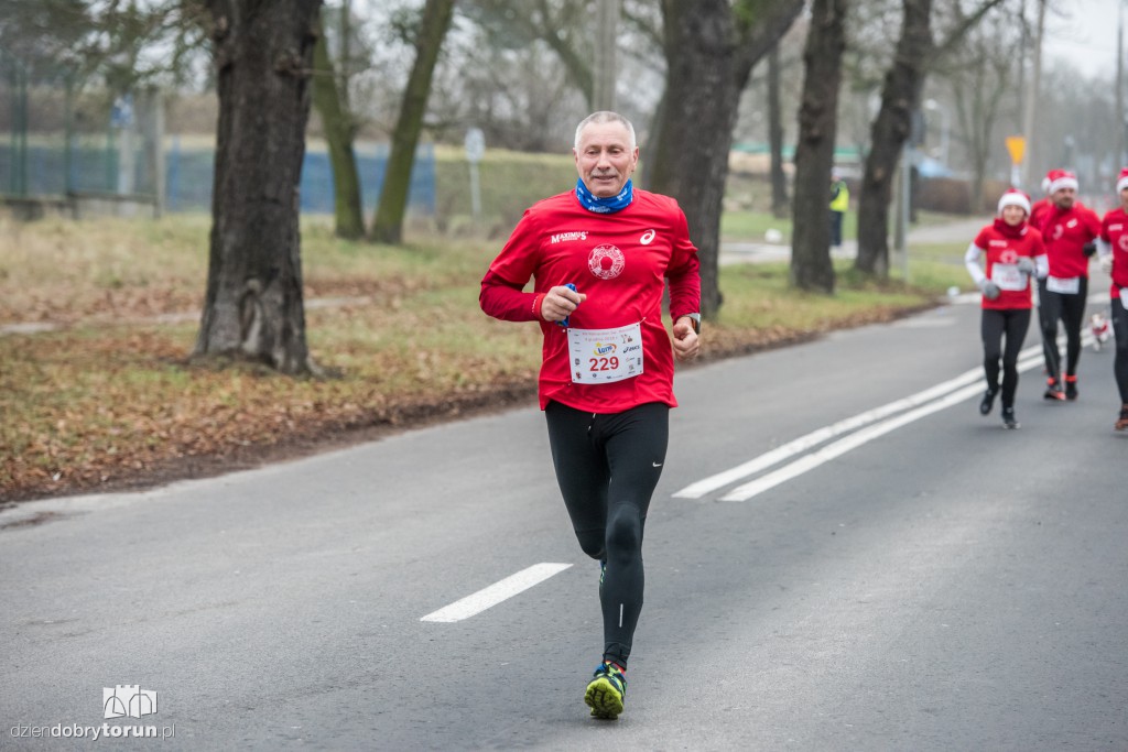 Torunianie na trasie półmaratonu