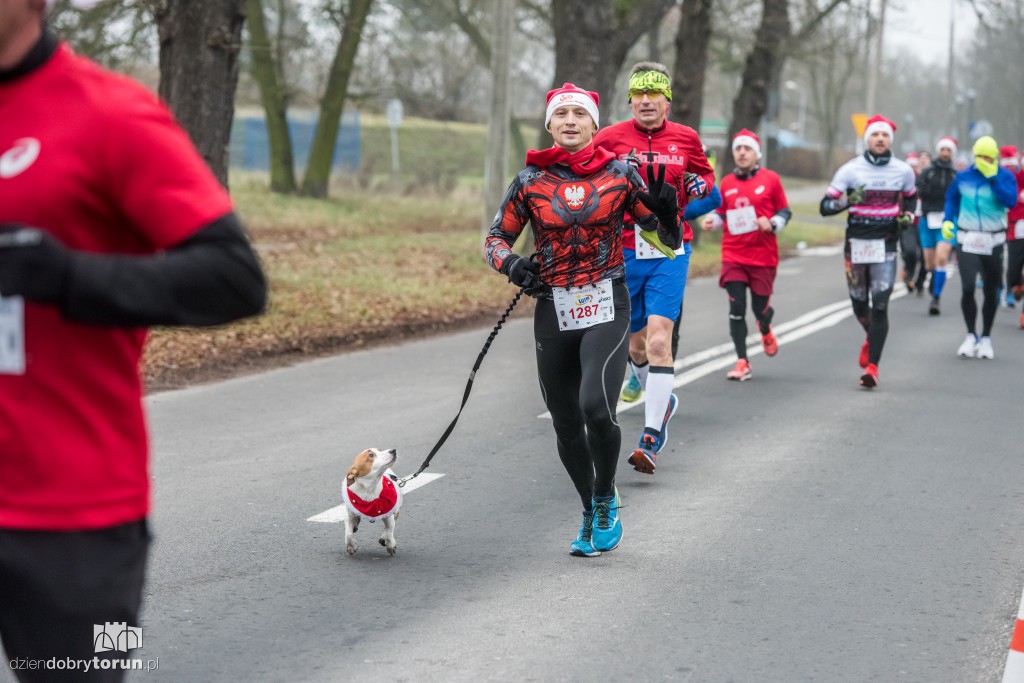 Torunianie na trasie półmaratonu