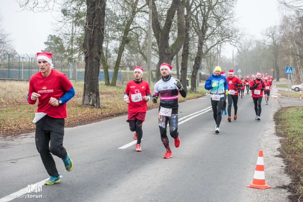 Torunianie na trasie półmaratonu