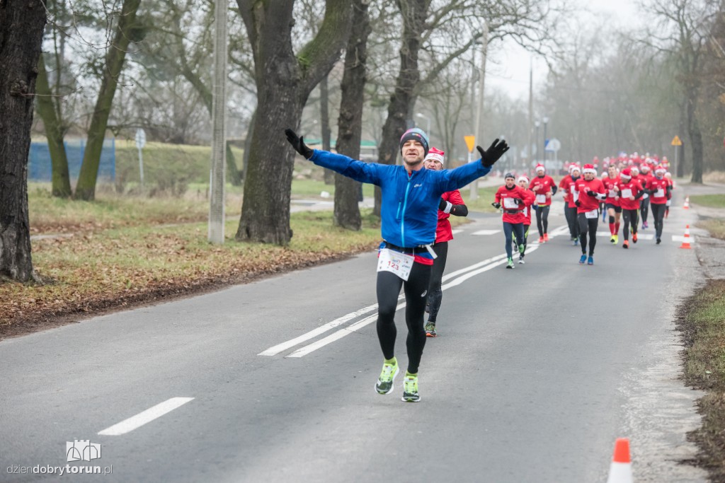 Torunianie na trasie półmaratonu