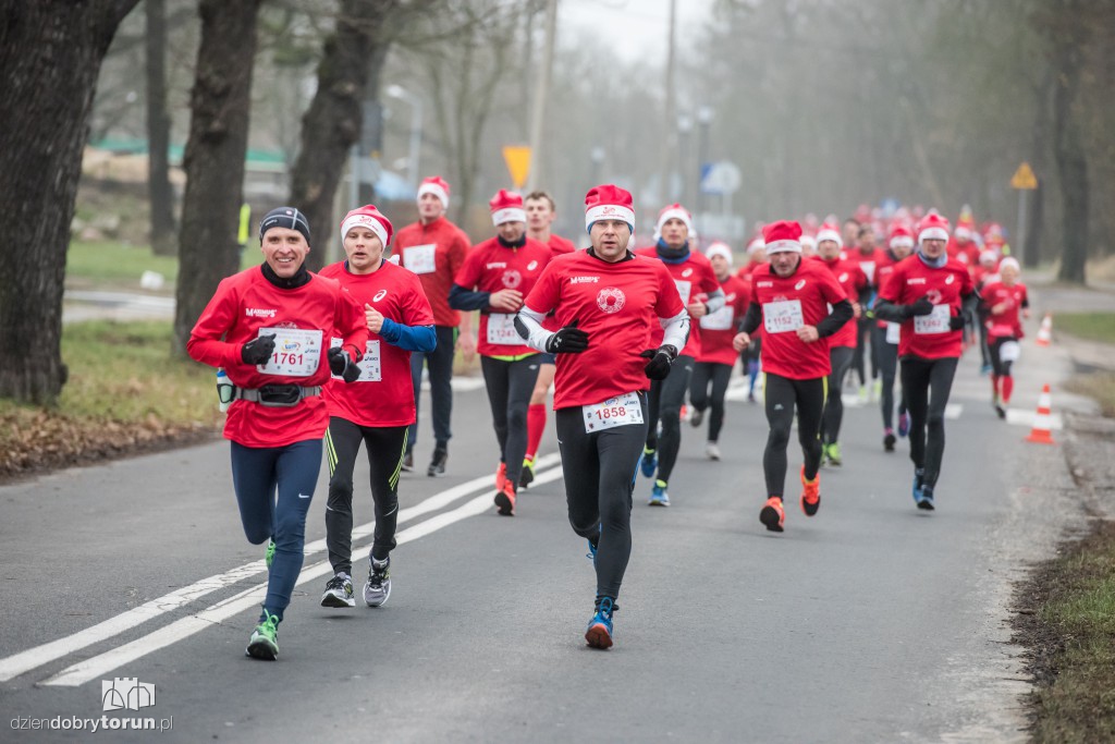 Torunianie na trasie półmaratonu