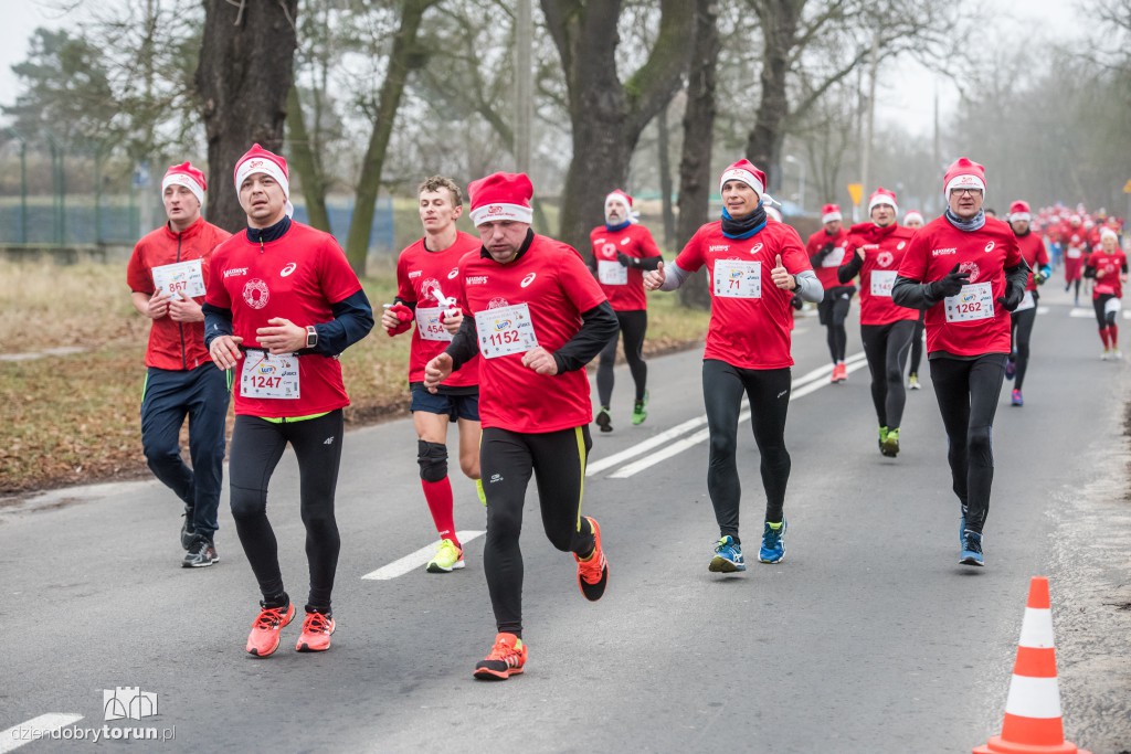 Torunianie na trasie półmaratonu