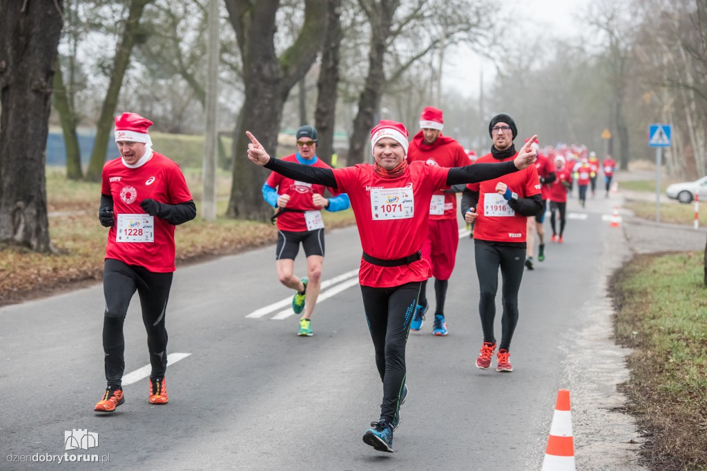 Torunianie na trasie półmaratonu