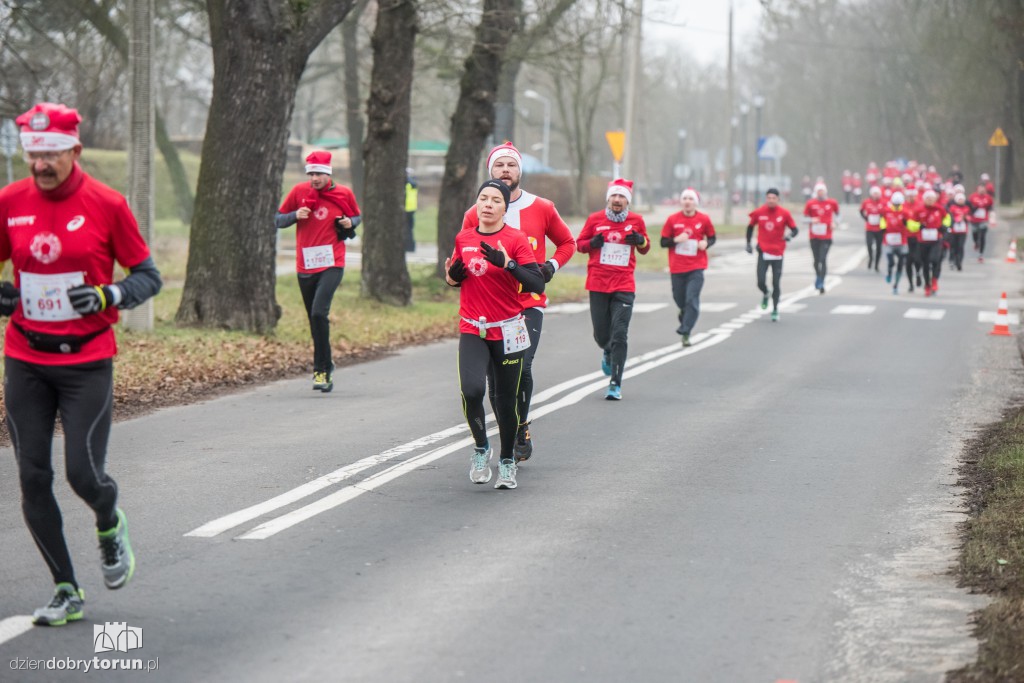 Torunianie na trasie półmaratonu