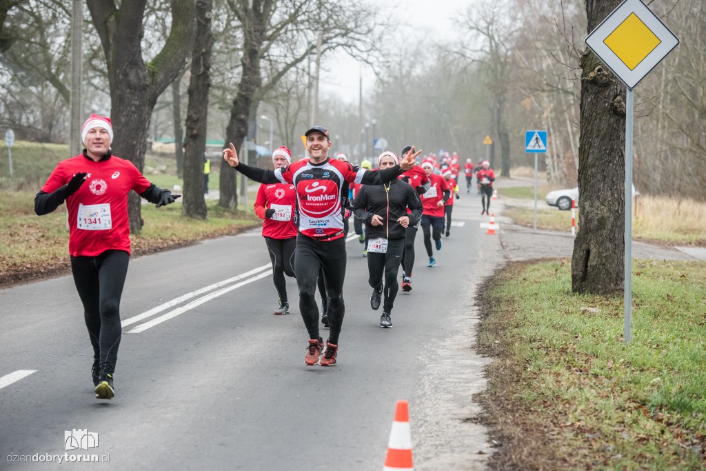 Torunianie na trasie półmaratonu
