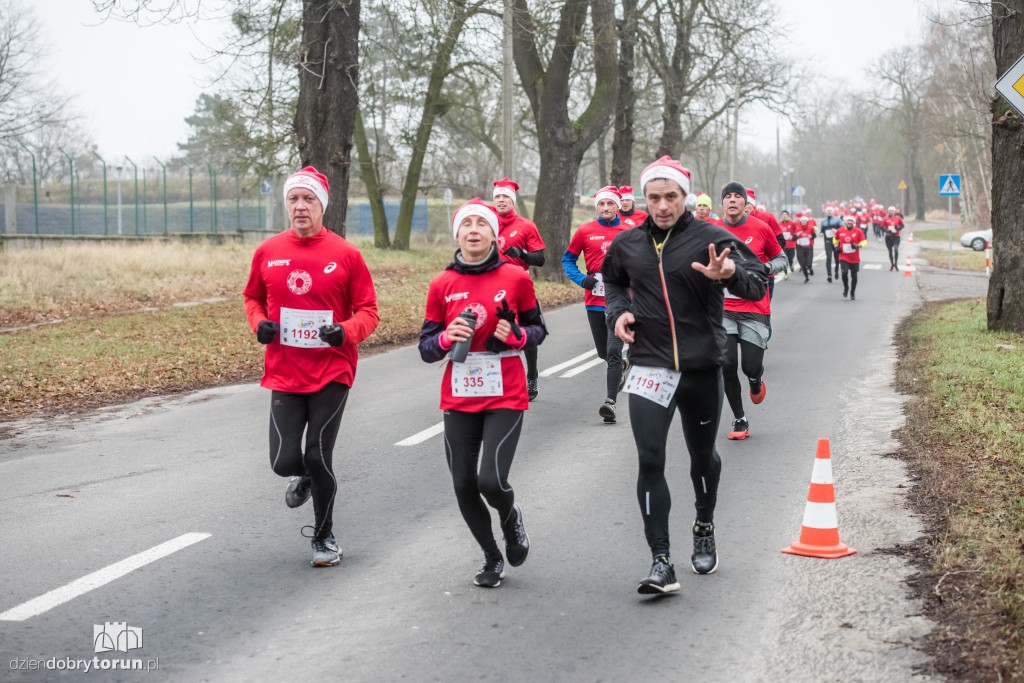 Torunianie na trasie półmaratonu