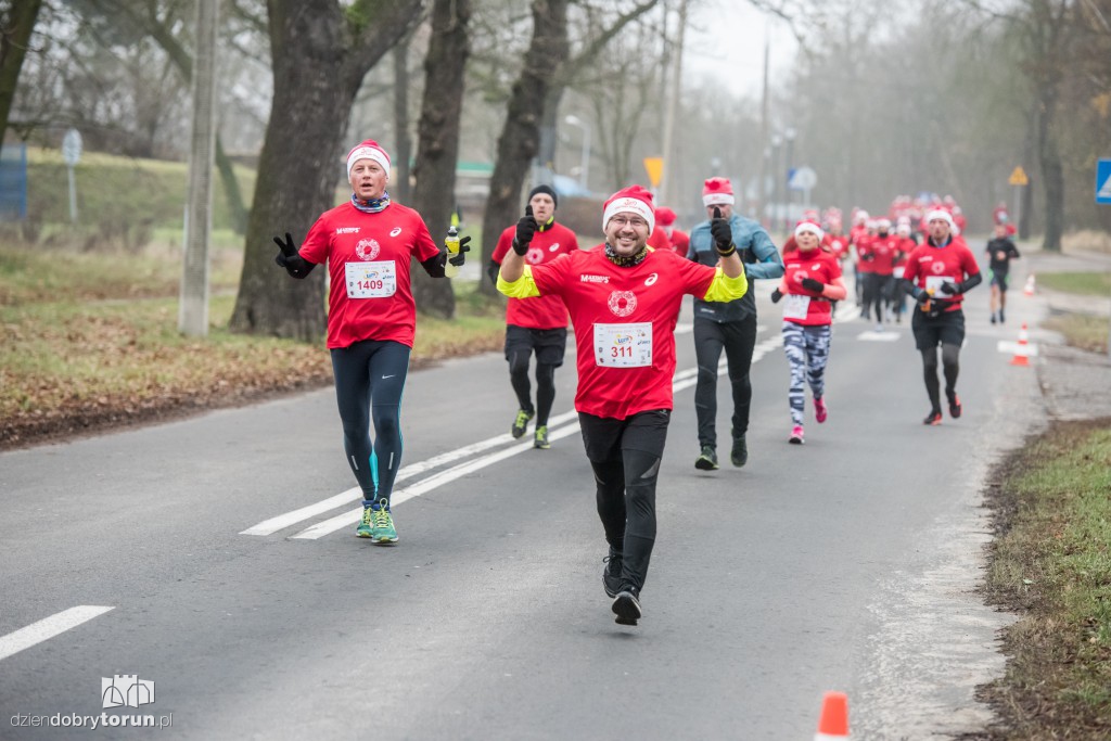 Torunianie na trasie półmaratonu