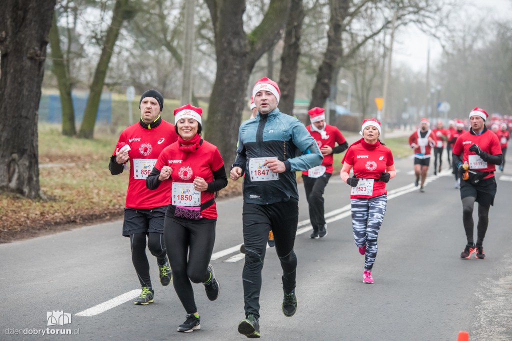 Torunianie na trasie półmaratonu