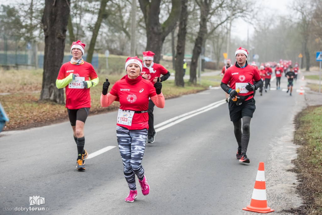Torunianie na trasie półmaratonu
