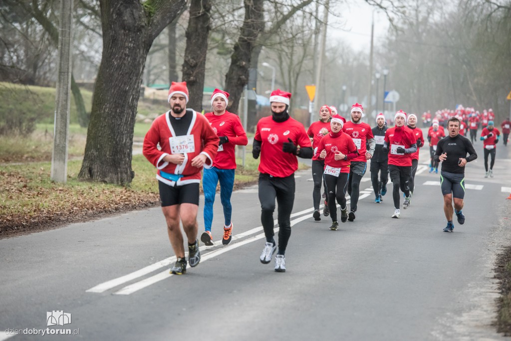 Torunianie na trasie półmaratonu