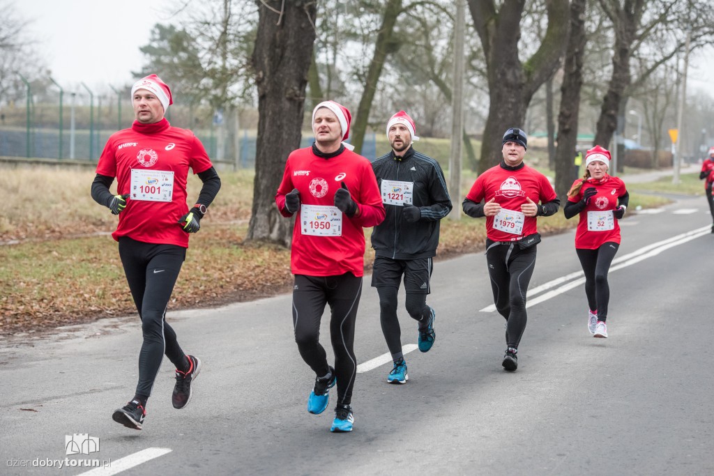 Torunianie na trasie półmaratonu