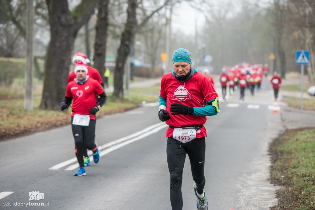 Torunianie na trasie półmaratonu