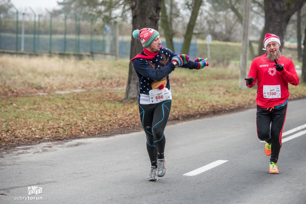 Torunianie na trasie półmaratonu