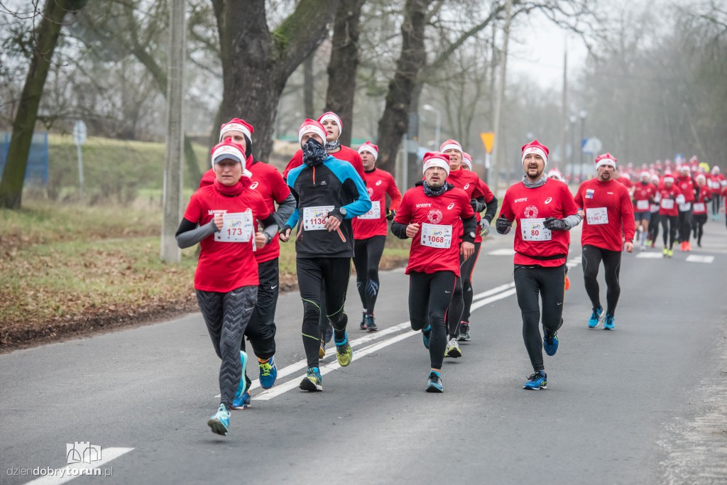 Torunianie na trasie półmaratonu