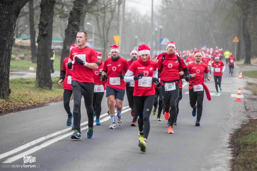 Torunianie na trasie półmaratonu