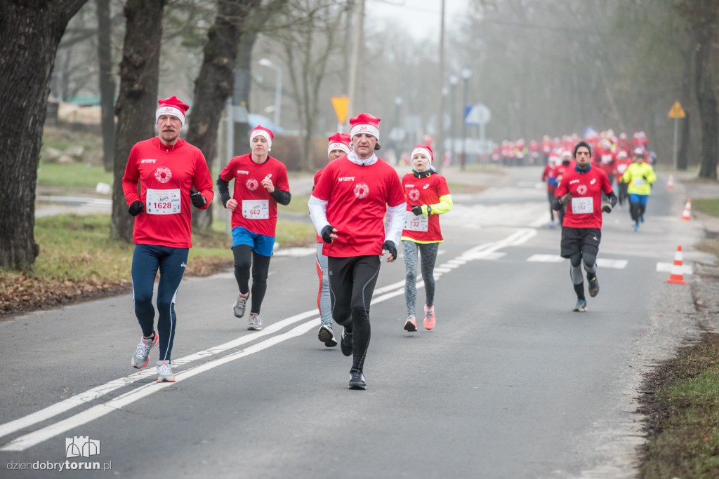 Torunianie na trasie półmaratonu
