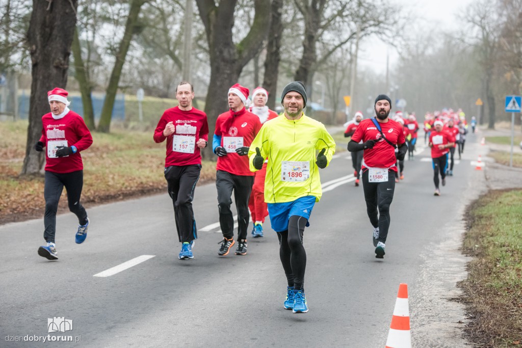 Torunianie na trasie półmaratonu