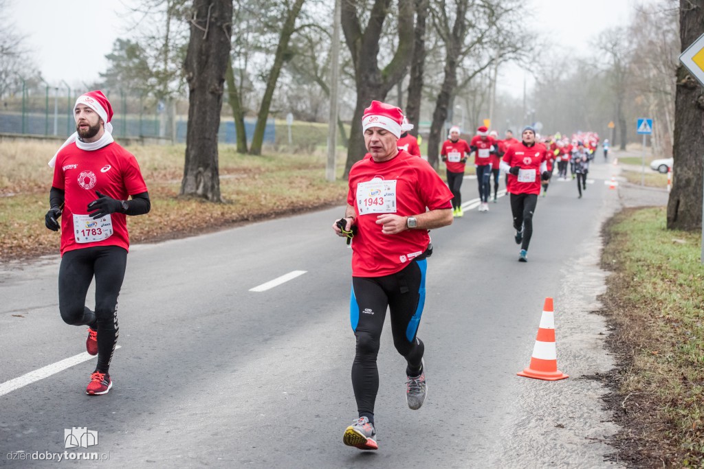 Torunianie na trasie półmaratonu