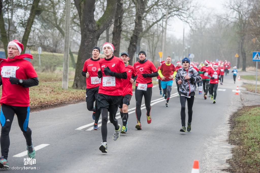 Torunianie na trasie półmaratonu
