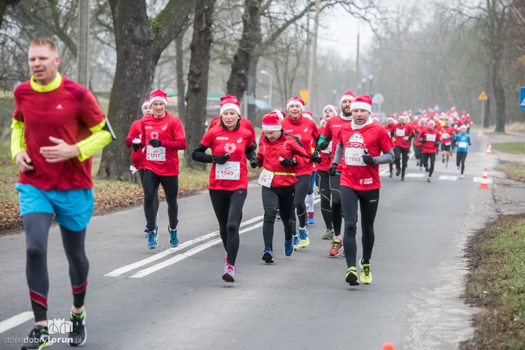 Torunianie na trasie półmaratonu