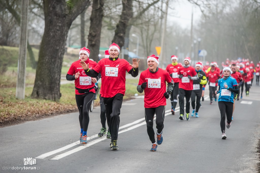 Torunianie na trasie półmaratonu