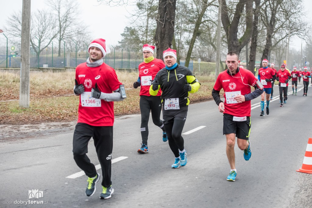 Torunianie na trasie półmaratonu