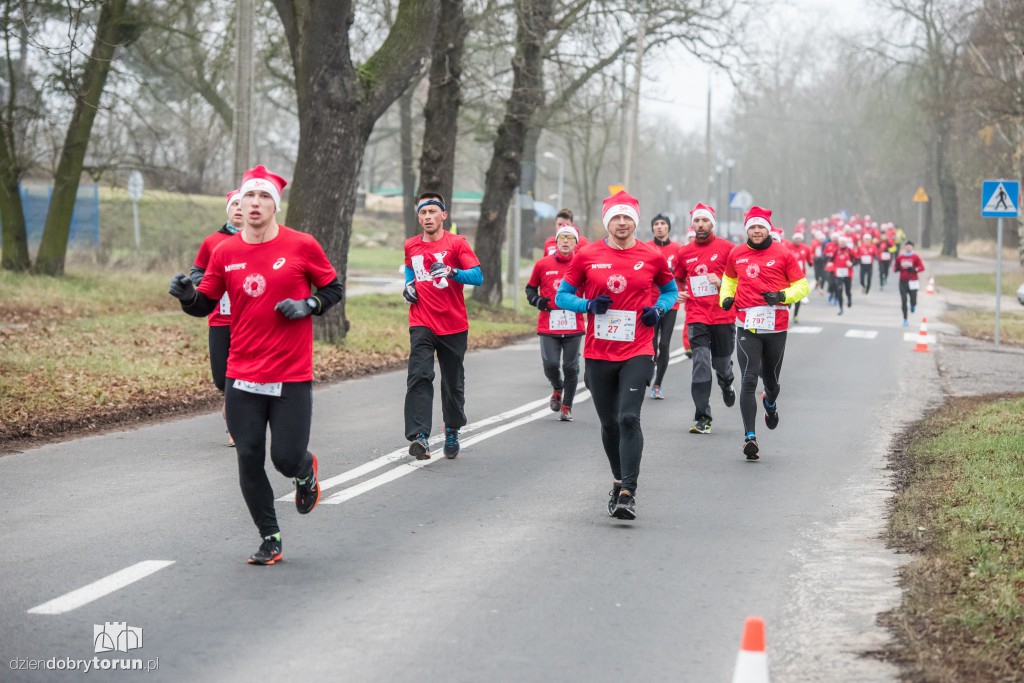 Torunianie na trasie półmaratonu