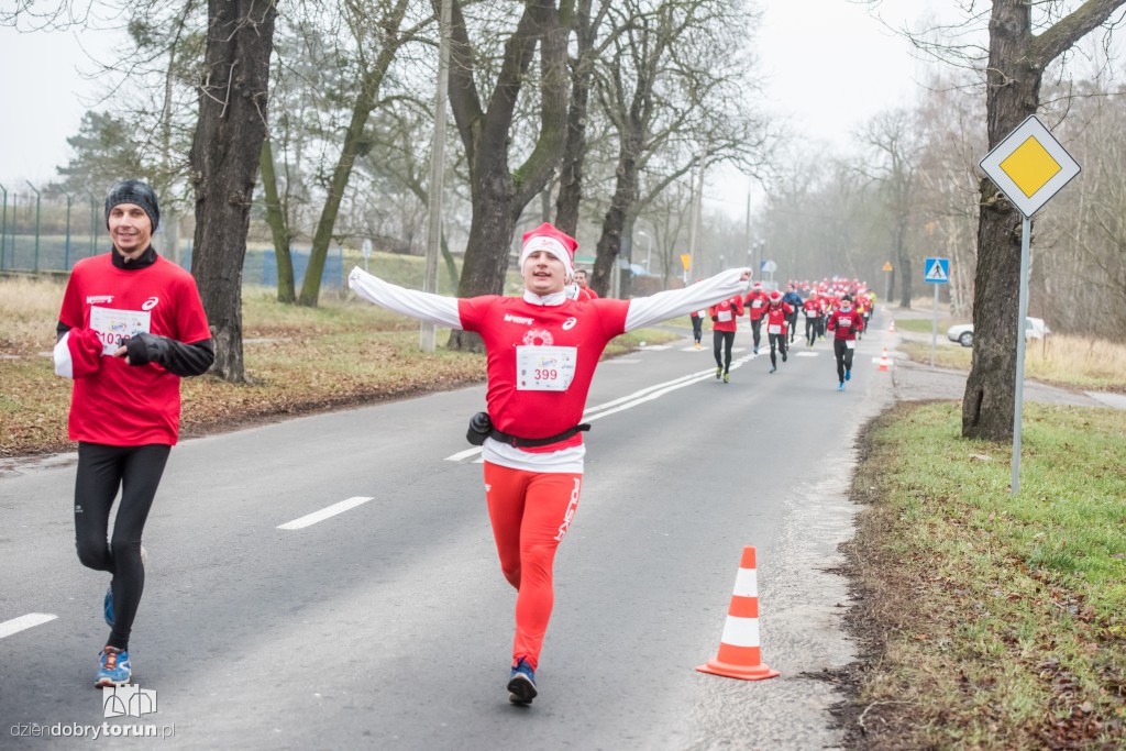 Torunianie na trasie półmaratonu