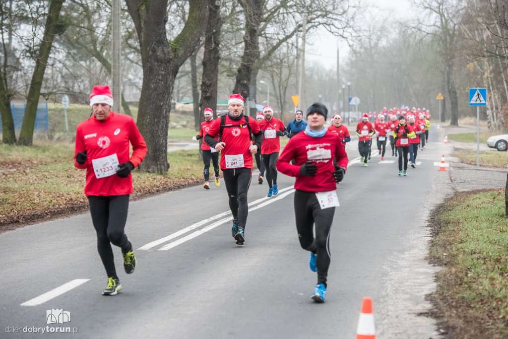 Torunianie na trasie półmaratonu