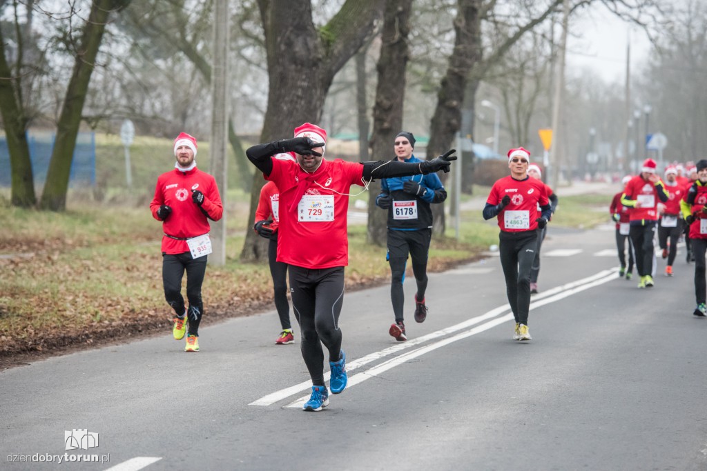 Torunianie na trasie półmaratonu