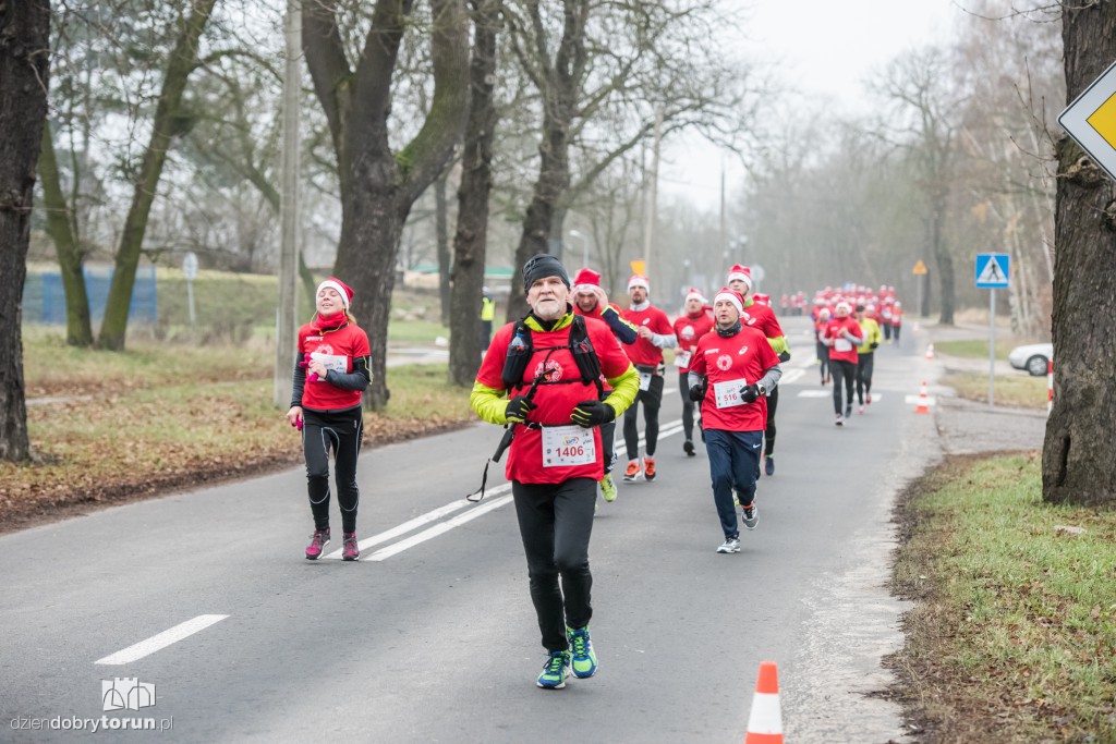 Torunianie na trasie półmaratonu