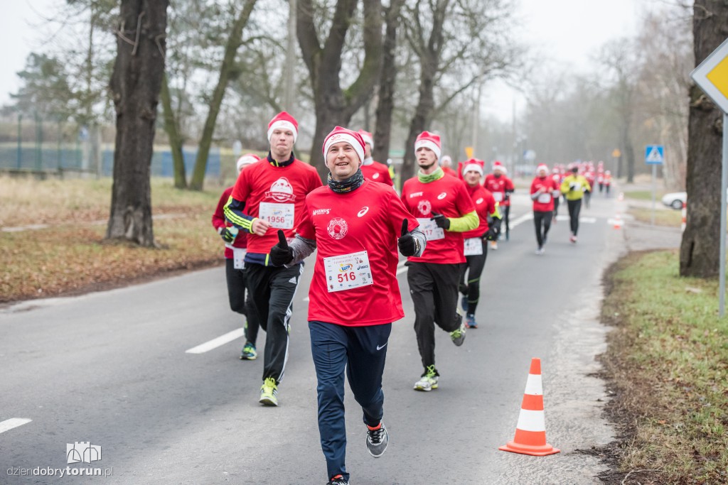 Torunianie na trasie półmaratonu
