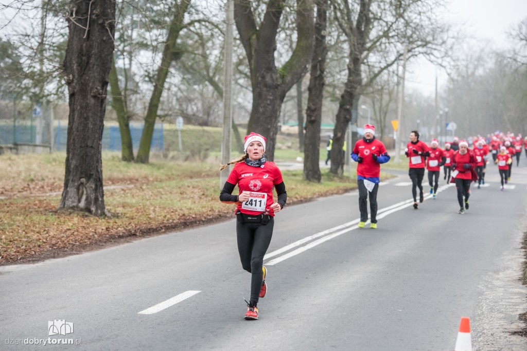 Torunianie na trasie półmaratonu