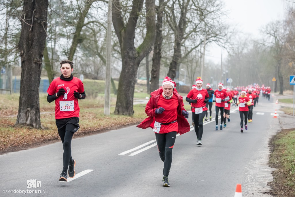 Torunianie na trasie półmaratonu